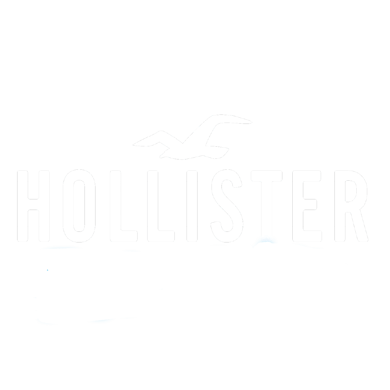 Website logo Hollister